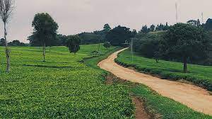 private investigator in Nandi