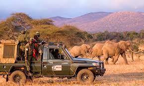 Rangers on patrol